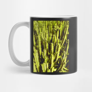 Cacti Mug